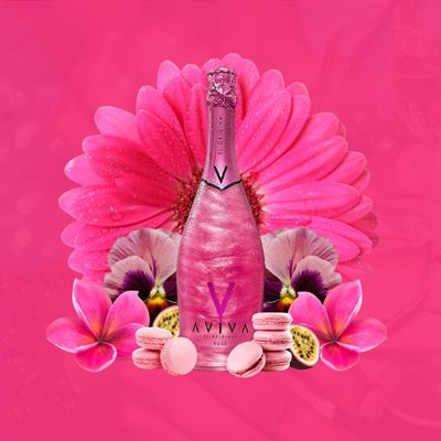 AVIVA ROSE